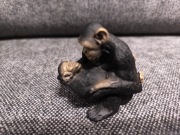 Schleich  Szympansica z młodym 14679