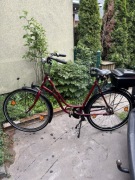 Rower  Stara koza