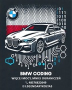 Profesjonalne kodowanie i programowanie BMW (serii F i G)