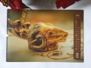 Kalendarz ścienny 2026. Łazienki Królewskie stan idealny