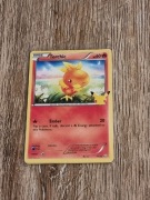 Torchic mcdonald unholo karty pokemon