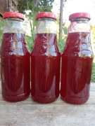 3 x Domowy sok/syrop malinowy 3x330ml