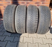 Opony zimowe Dayton DW510 (komplet)