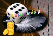 losowania.pl - domena internetowa