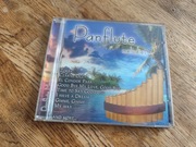 CD Panflute Zorba Czarne Oczy El Condor Pasa Gimme Gimme