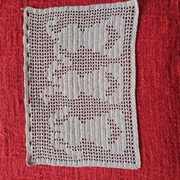 Szydełkowa zazdrostka 