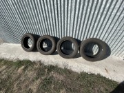 Opony zimowe Dębica Firgo 2 2022 205/55 R16