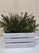 Skrzynka biała drewniana