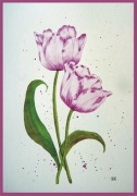 Akwarela Akwarelka Obraz pt. Tulipany