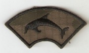 Naszywka DELFIN na mundur polowy.
