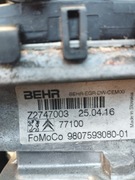 Zawór EGR Ford Mondeo, Focus