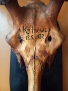 Poroże zabytek 1932