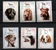 3099-3104,Psy myśliwskie,