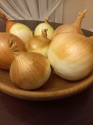 Cebula z uprawy ekologicznej 10 kg