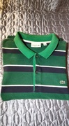 DLA DUŻEGO Polo LACOSTE Zielona w paski Bawełna 3XL 1XG