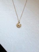 naszyjnik koń z koniem podkowa stal nierdzewna chirurgiczna stali