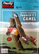 Mały Modelarz 6/2004r.