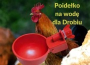 Automatyczne poidełka dla drobiu 10 sztuk do wiader i zbiorników