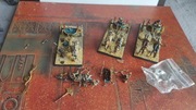 Warhammer Age of Sigmar WFB Tomb Kings Chariots wydruki