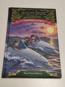 Magiczny domek na drzewie: Nurkowanie z delfinami