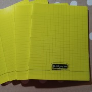 Zeszyt do kaligrafii Calligraphe ligne 8000