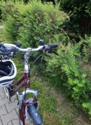 Rower damka Giant plus kask