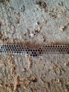 Kratka chłodnicy Yaris 