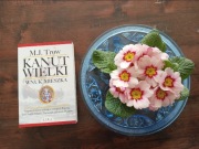 Kanut Wielki wnuk Mieszka Trow NOWA 