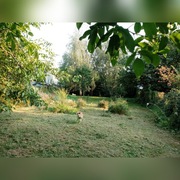 Pilnie sprzedam działkę 