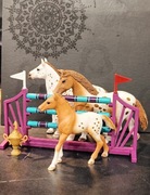 SCHLEICH zestaw treningowy 42433