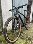 Rower Orbea Alma carbon