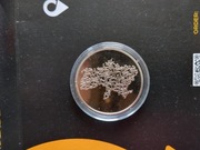 Ukraina.  Dziękujemy wolontariuszom. 5 UAH 2023