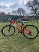 Rower Giant rozmiar XS