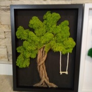 Drzewko szczęścia z chrobotka w ramce 