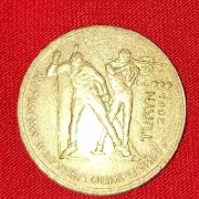 Moneta 2 zł  XX zimowe igrzyska olimpijskie 