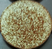 Szał - Glam Shop - cień z rozbiórki (używany)