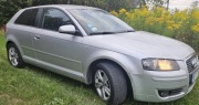 Audi A3 drugi właściciel dodtkowy zetaw alu lato 