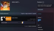Konto Steam CS 2 PREMIER
