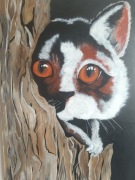 KOTEK W DZIUPLI 50 x 70 