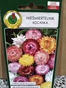 Nieśmiertelnik Kocanka mix