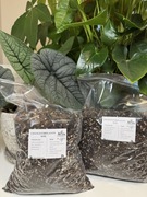 Mieszanka, podłoże, bigos dla roślin tropikalnych np. monstera, filodendron