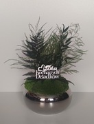 MECH CHROBOTEK kompozycja duża na PREZENT, Dzień Babci i Dziadka 