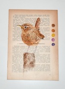 SYRZYŻYK autorska akwarela vintage