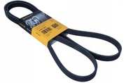 PASEK WIELOROWKOWY CONTITECH 5PK1815