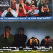 Various - So You Wanna Be A Rock 'N' Roll Compilation?  CD  punk, hardcore