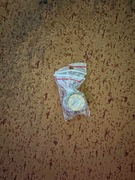 2019 menniczy komplet 12 szt. monet obiegowych UNC