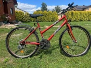 Rower LONGWAY Lucky Racing 2002 series