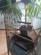 Klatka dla ptaków styl retro