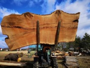 Monolit dębowy deska blat dębowy 