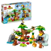 DUPLO Dzikie Zwierzęta Ameryki Południowej + plansza